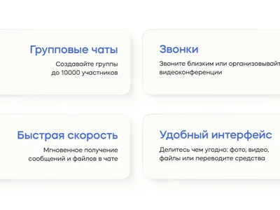 Функции в мессенджере "Молния"