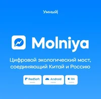 Мессенджер "Молния". Скриншот